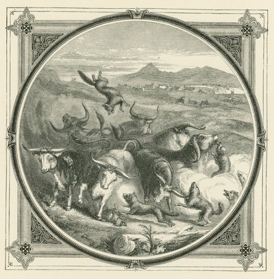 Wenn der Wolf kommt, hören die Ochsen auf zu kämpfen, um sich zur Selbstverteidigung zu vereinen (Stich) von John Leighton