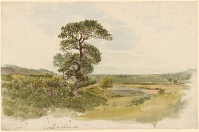Landschaft in Snowdonia mit einem Baum im Vordergrund von John Linnell