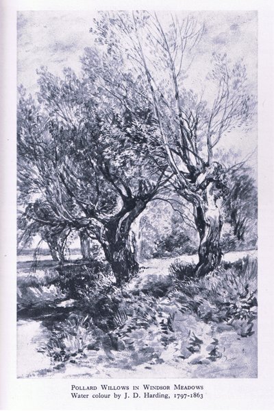 Holzfäller am Rande des Windsor Forest, Nature in Britain, veröffentlicht von Collins von John Linnell