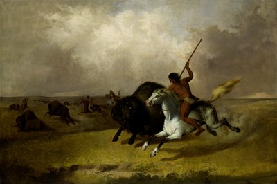 Büffeljagd auf den südwestlichen Prärien von John Mix Stanley
