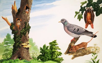 Der tote Baum von John Rignall