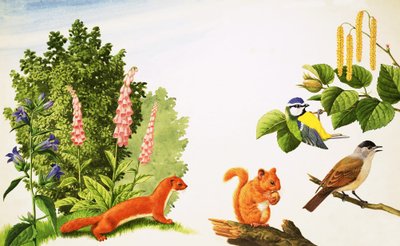 Der Haselbaum von John Rignall