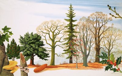 Bäume im Winter von John Rignall