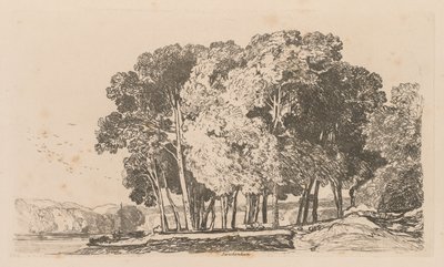 Liber Studiorum: Tafel 3, Bäume bei Twickenham von John Sell Cotman