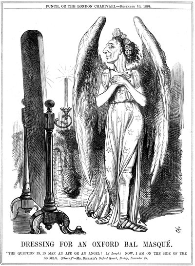 Benjamin Disraeli, britischer Konservativer, Karikatur aus Punch, 1864 von John Tenniel