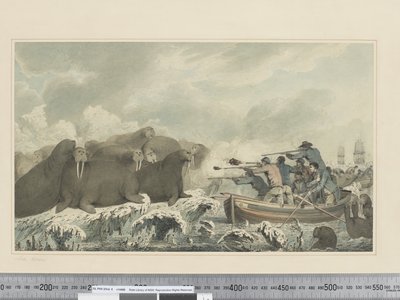 Seepferde von John Webber