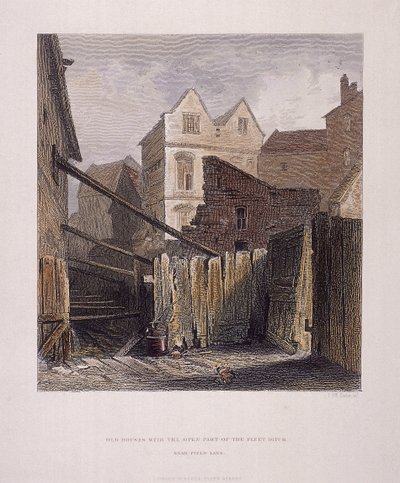 Fleet River, London, 1851 von John Wykeham Archer