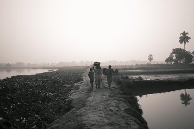 Fischen in den Feuchtgebieten von Kolkata, 2016 von Jon Nicholson