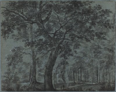 Wald bei Nacht mit Reisenden von Joris van der Haagen