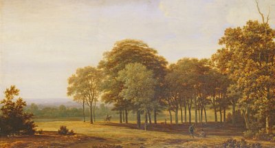 Straße im Wald von Joris van der Haagen or Hagen