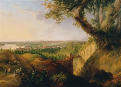 Ansicht der Haupt- und Residenzstadt Wien vom Standpunkte bey Nussdorf von Josef Fischer