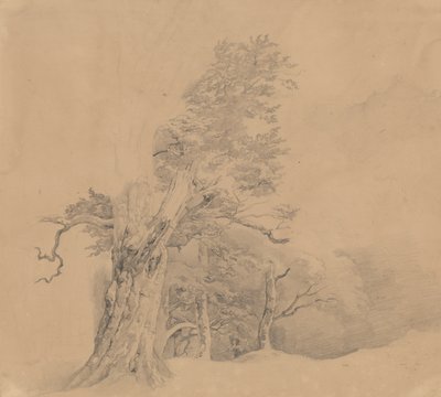 Baumgruppe von Josef Kriehuber