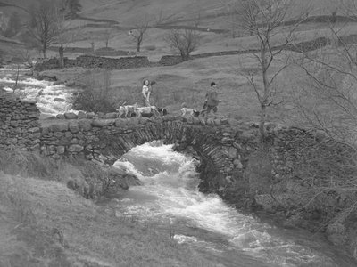 Zwei Frauen und ein Mann gehen über eine Brücke mit Hunden zu ihren Füßen von Joseph Hardman