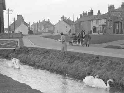 Frau füttert Schwäne in Allonby mit Mann, der Pferd und Wagen die Straße hinunterführt von Joseph Hardman