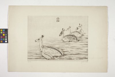 Indochinesische Hirsche I von Joseph Hecht