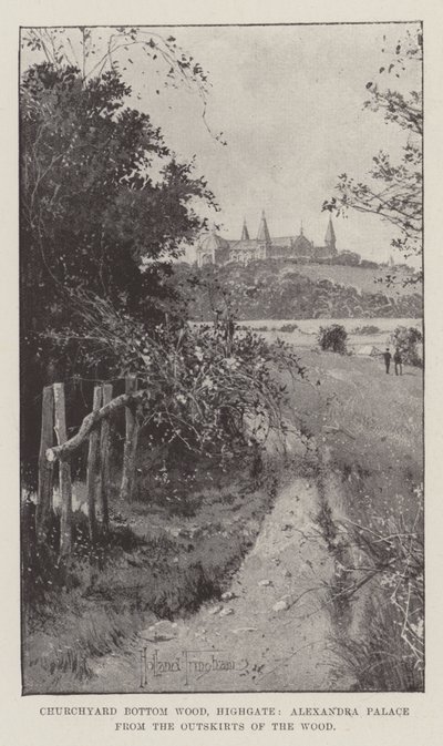 Churchyard Bottom Wood, Highgate, Alexandra Palace von den Rändern des Waldes von Joseph Holland Tringham