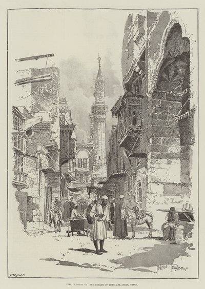 Leben in Ägypten, die Moschee von Sharia-el-Aybar, Kairo von Joseph Holland Tringham