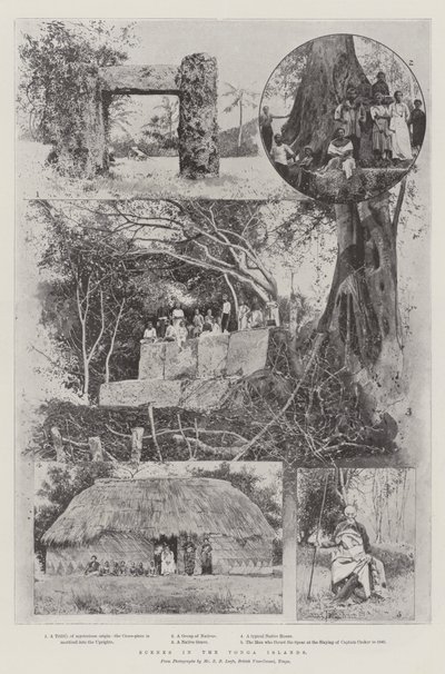 Szenen auf den Tonga-Inseln von Joseph Holland Tringham