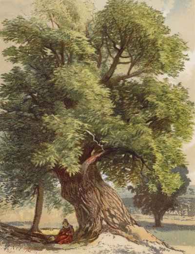 Alte Kastanie von Joseph Needham