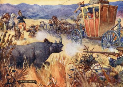 Simon Van der Stel und das Nashorn von Joseph Ratcliffe (after) Skelton