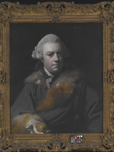 Porträt von Thomas Bowlby von Joshua Reynolds