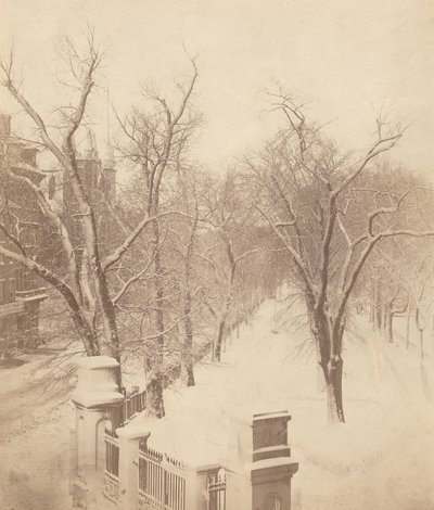 Boston Common Schneeszene, 1850er Jahre (Foto) von Josiah Johnson Hawes