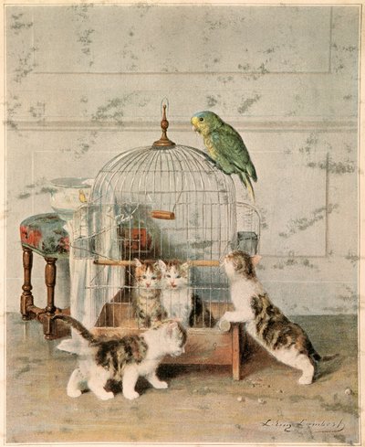 Kätzchen von Josse Photo