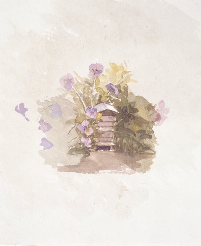 Vogelhausblumen II von Joyce Haddon