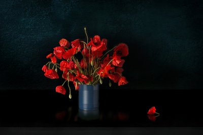 Dramatische Rote Mohnblumen von Juan Antonio Palacios