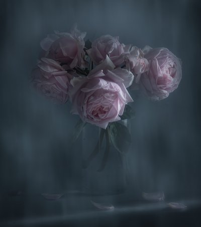 Stimmungsvolle Rosa Rosen von Judy Tseng