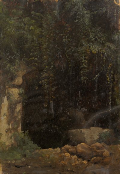 Allikas von Julie Wilhelmine Hagen-Schwarz