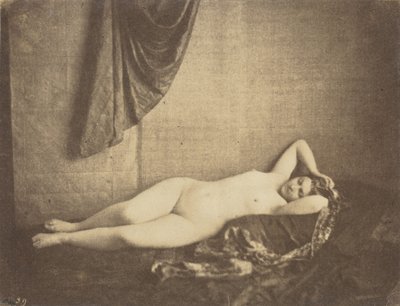 Studie nach der Natur von Julien Vallou de Villeneuve