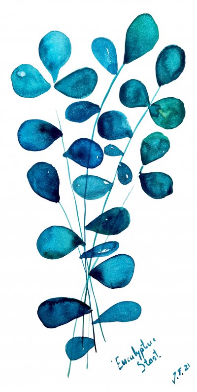 Blaue Eukalyptusblätter von Julija Belickienė