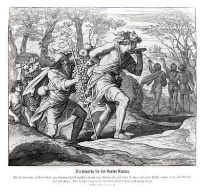 Kundschafter im Land Kanaan, Numeri von Julius Schnorr von Carolsfeld