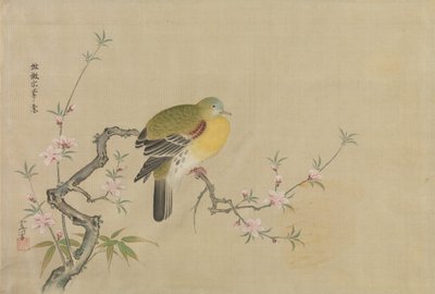 Album mit Kopien chinesischer Gemälde, 17. Jahrhundert von Kanô Yôboku Tsunenobu