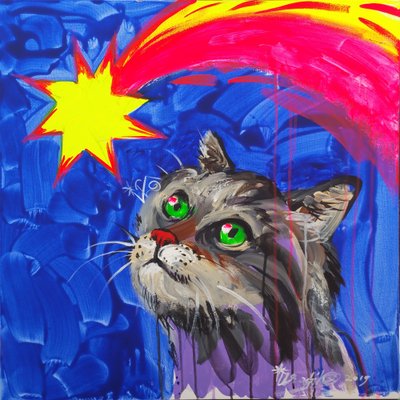 Neugierige Katze beim Sternegucken von Kanat Ibragimov