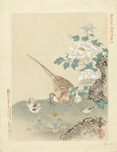 Wachtel mit Küken von Kano Tsunenobu