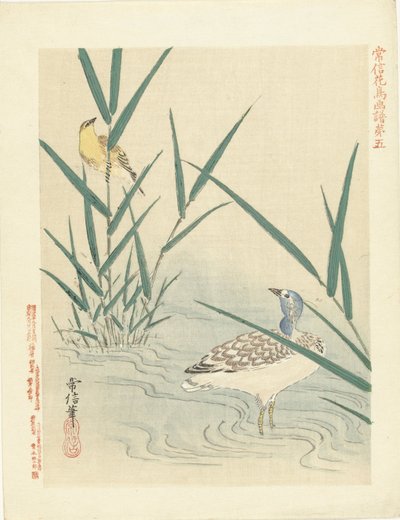 Wasservogel schaut auf gelben Singvogel von Kano Tsunenobu