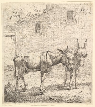 Zwei Esel, die in einem grasbewachsenen Hof stehen, einer im Profil nach rechts und ein anderer dahinter (1652) von Karel Du Jardin
