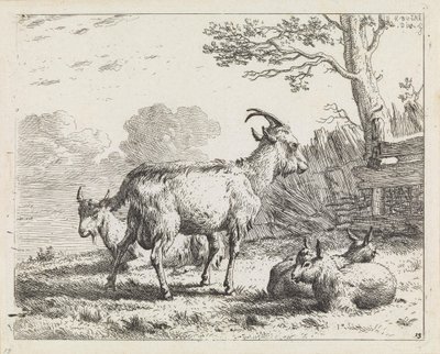 Vier Ziegen von Karel Dujardin