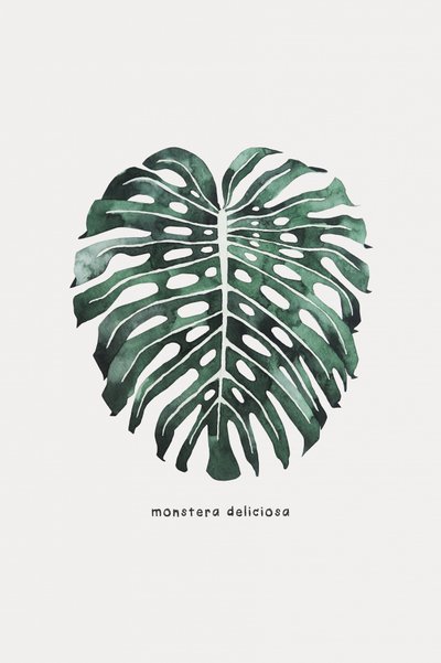 Monstera-Blatt Aquarell von Karen Menzenbach