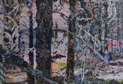Verzaubertes Waldlicht von Karin Bos