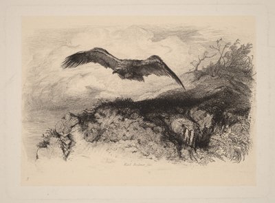  von Karl Bodmer