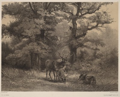 Hirsche auf der Weide von Karl Bodmer