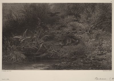 Fuchs auf der Lauer von Karl Bodmer