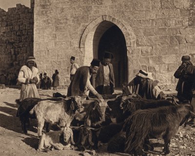 Jerusalem, Markt am Herodestor von Karl Grober