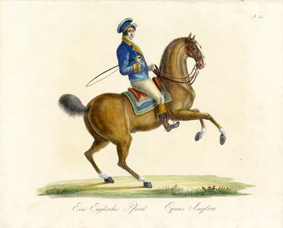 Das englische Pferd von Karl Joseph Brodtmann