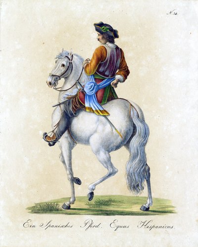 Das spanische Pferd von Karl Joseph Brodtmann