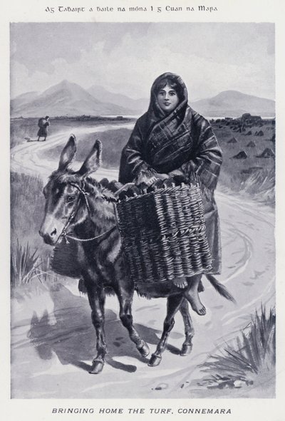 Heimbringen des Torfs, Connemara (s/w Foto) von Karl Karlovich Piratsky