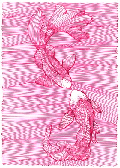 Tanz der rosa Koi von Katie O'Shea